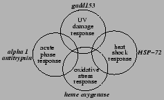 \begin{figure}% Figure-Stress programs {{{2
\centering
\includegraphics{stressprograms}\end{figure}