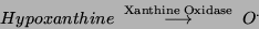 \begin{displaymath}Hypoxanthine \; \stackrel{\rm Xanthine \: Oxidase}{\longrightarrow} \; O^.\end{displaymath}